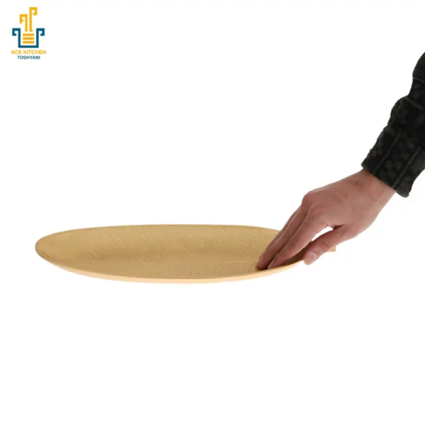 ظرف سرو آس کیچن